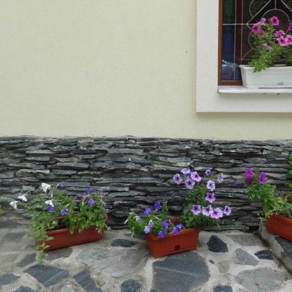 Ryska Ciemno-zielona