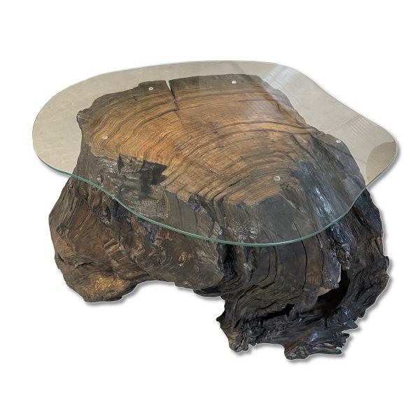 Stolik Kawowy Z Korzenia Czarnego Dębu Ze Szklanym Blatem